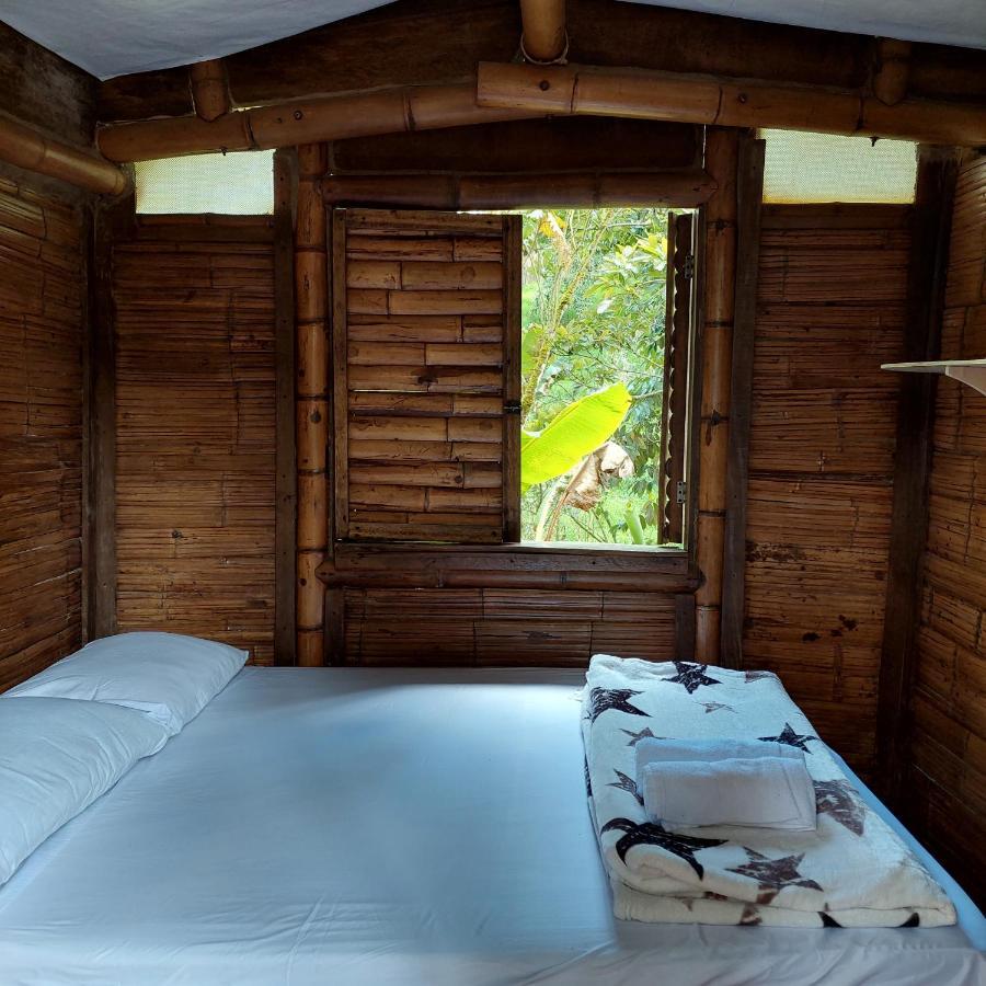 Hostal La Pijarana Salento Kültér fotó