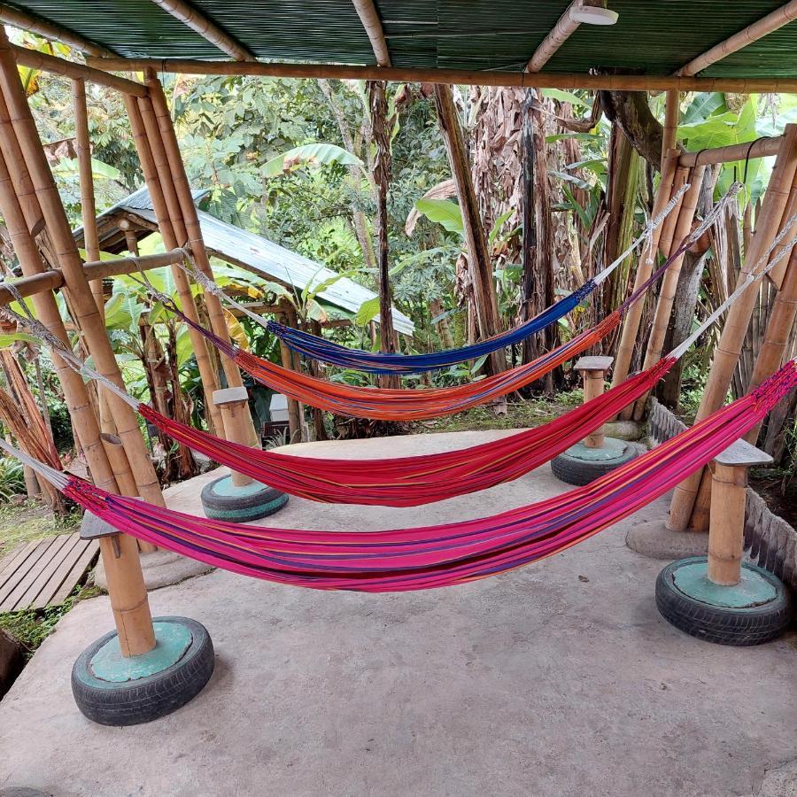 Hostal La Pijarana Salento Kültér fotó