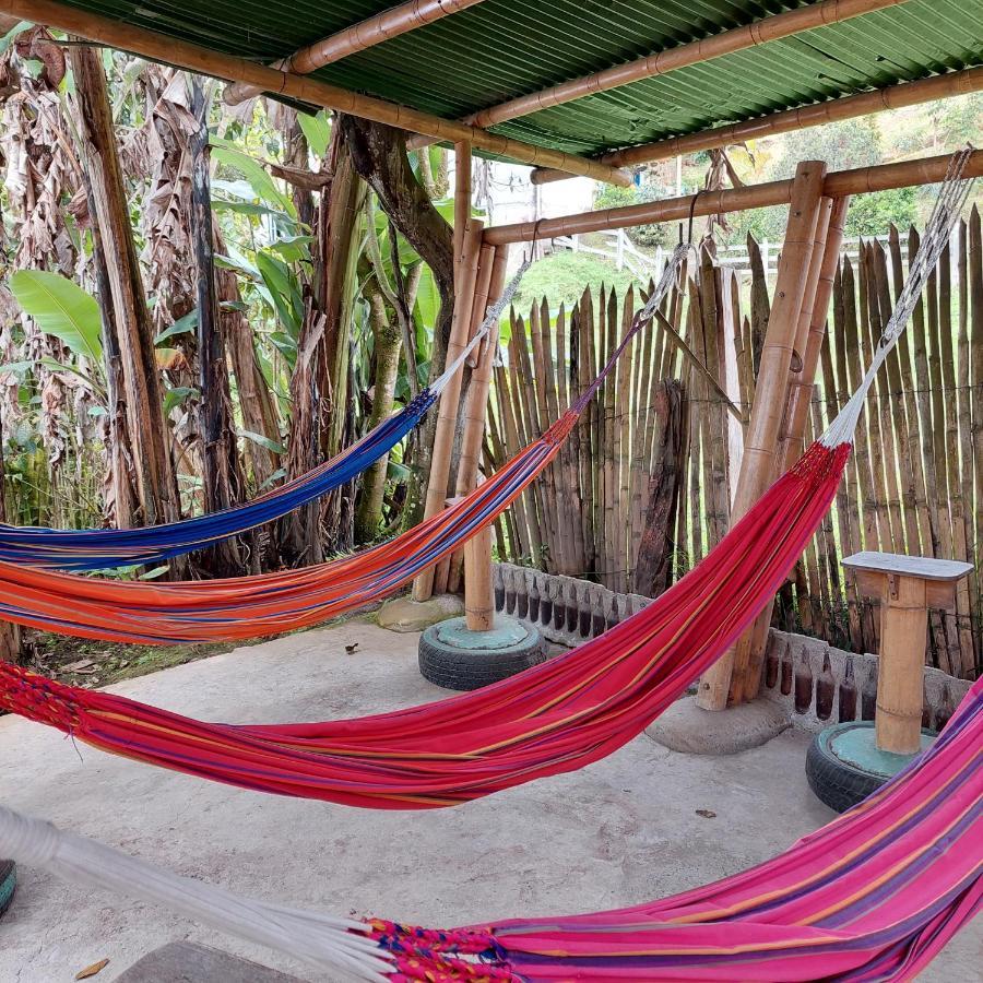 Hostal La Pijarana Salento Kültér fotó