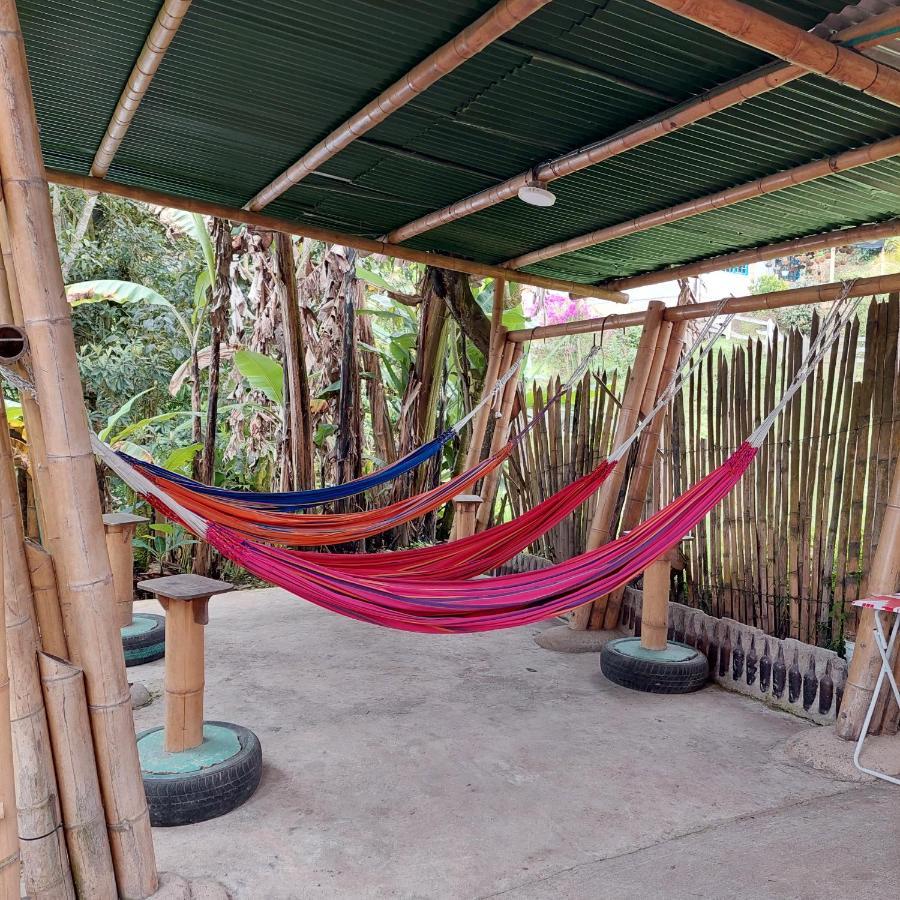 Hostal La Pijarana Salento Kültér fotó