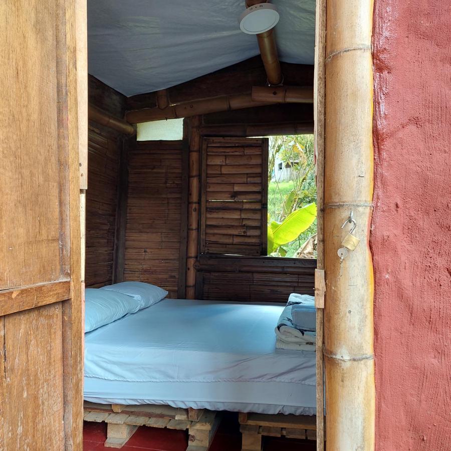 Hostal La Pijarana Salento Kültér fotó