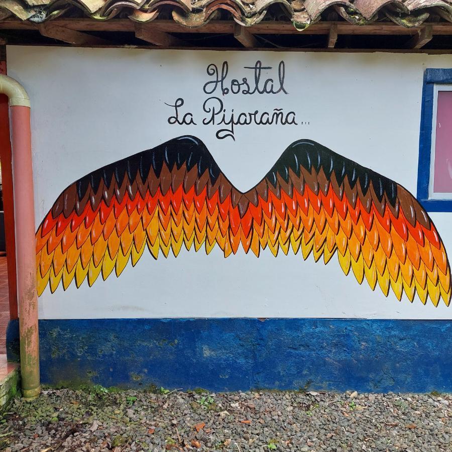 Hostal La Pijarana Salento Kültér fotó